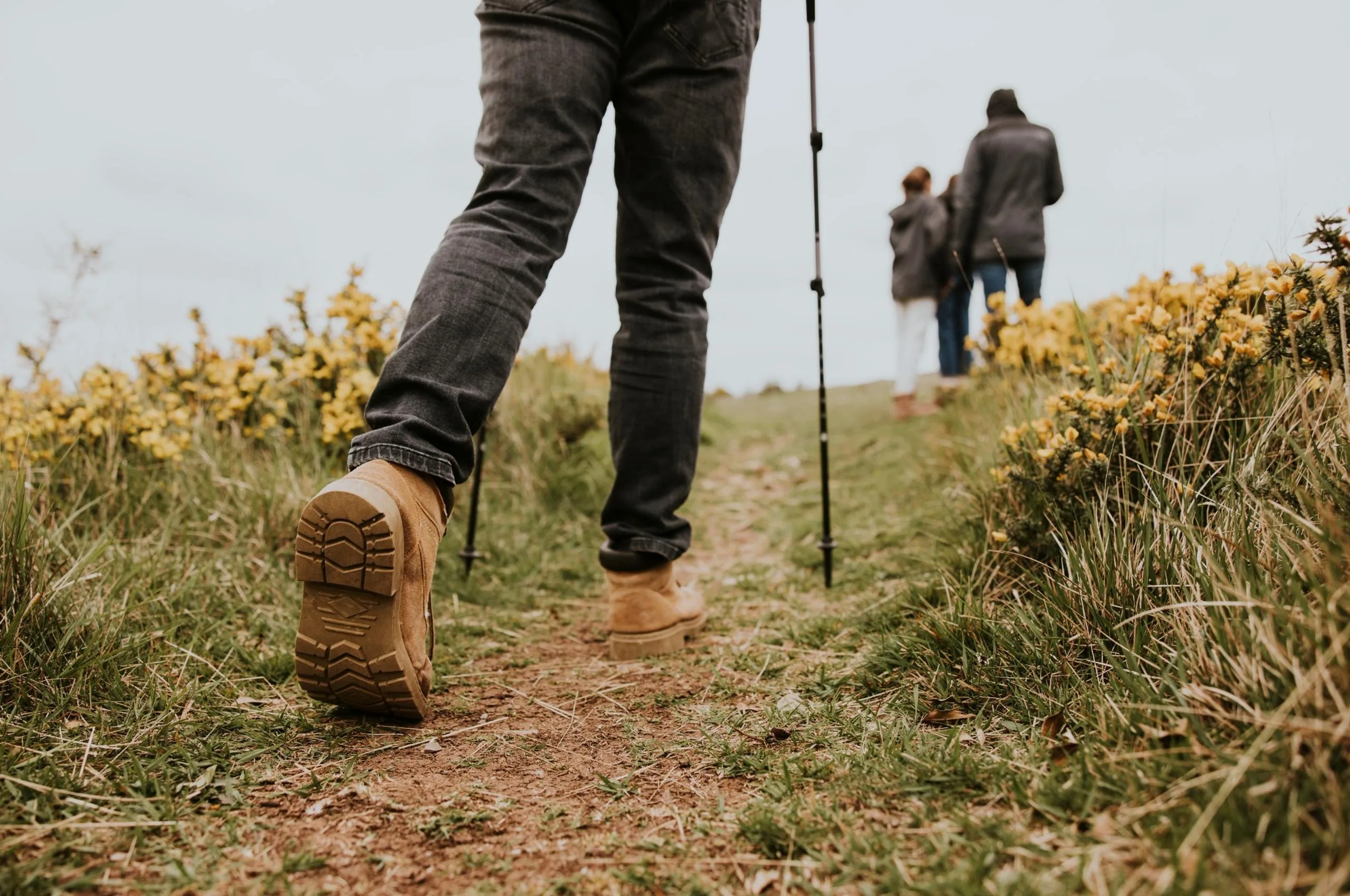 A group of people walking along a hiking trail.